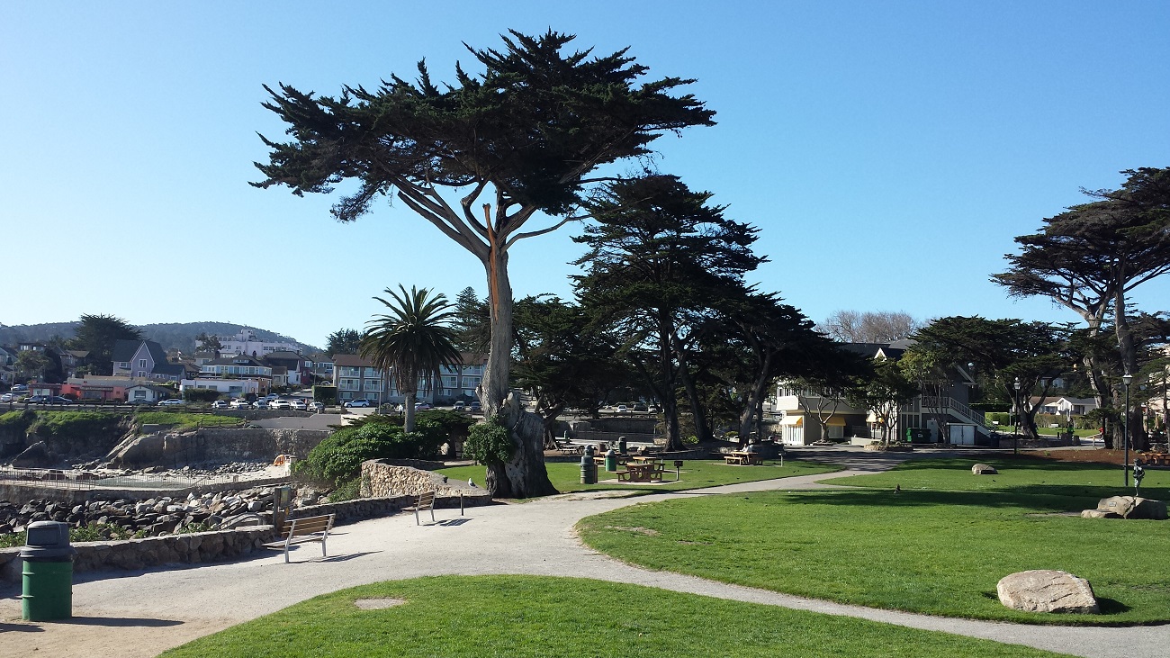 Name:  236-20150223_093632.jpg
Views: 3119
Size:  443.3 KB