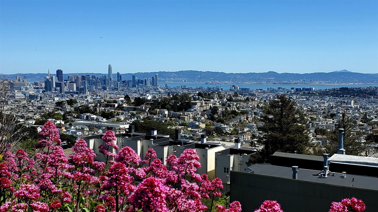 Name:  241-20220503_120644.jpg
Views: 3112
Size:  501.3 KB