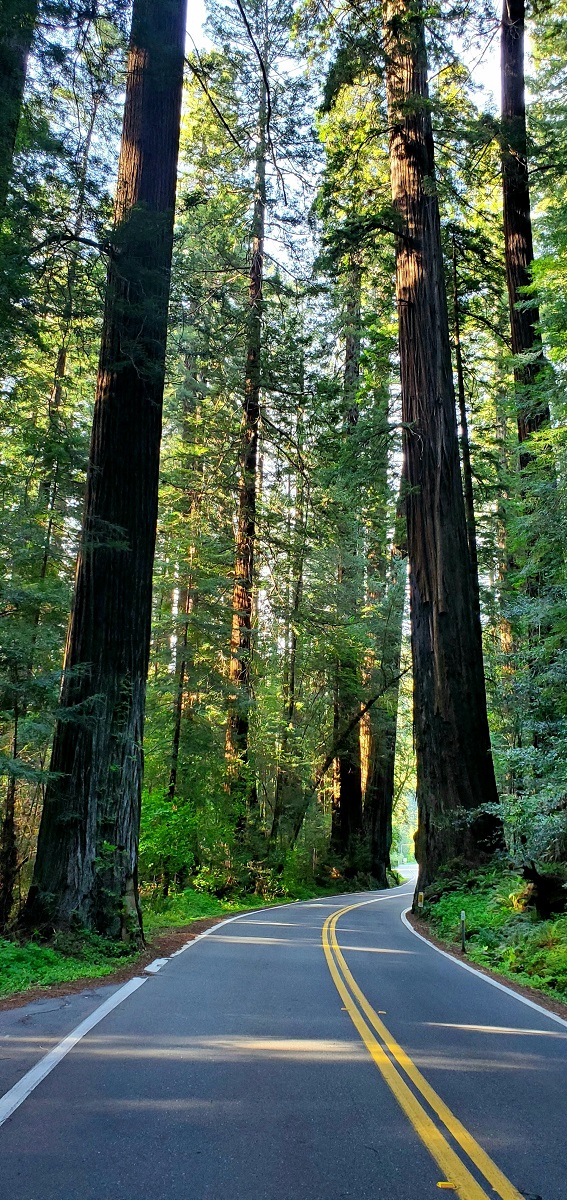 Name:  245-20220503_174425.jpg
Views: 3044
Size:  461.0 KB