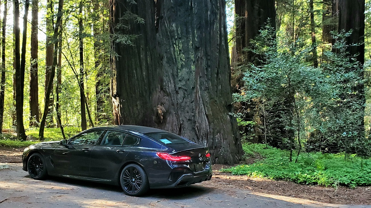 Name:  Car131.jpg
Views: 3081
Size:  635.0 KB