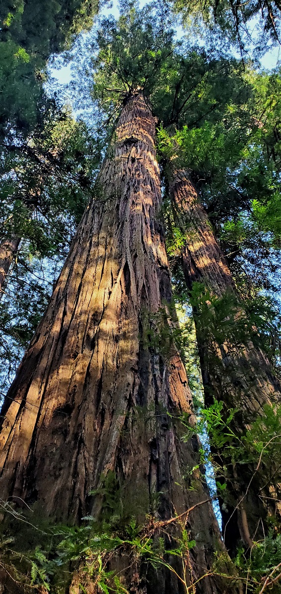 Name:  247-20220503_174651.jpg
Views: 3034
Size:  531.0 KB