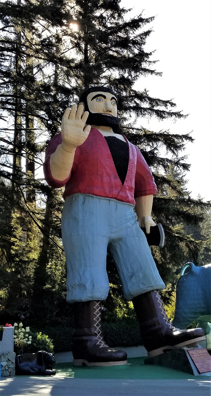 Name:  252-20180920_095606.jpg
Views: 3042
Size:  445.5 KB