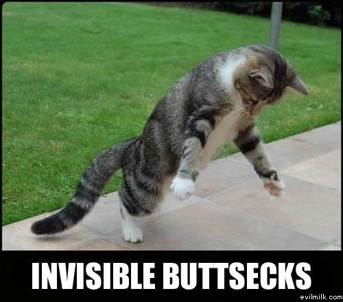 Name:  Invisible_buttsecks.jpg
Views: 24485
Size:  35.0 KB