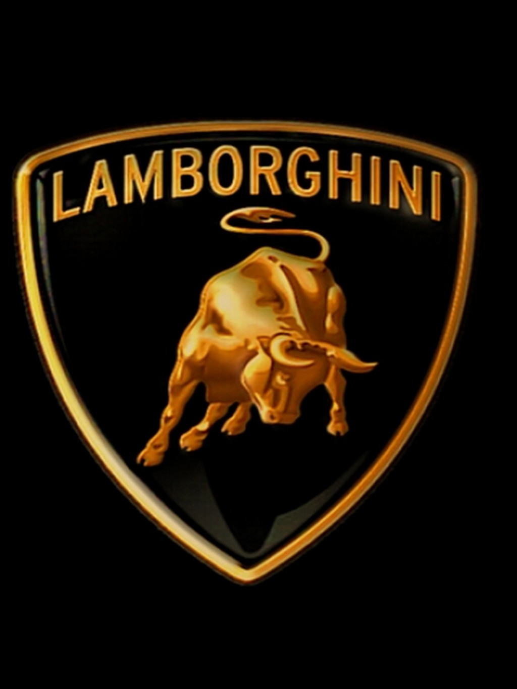 Name:  Lamborghini-Bull.jpg
Views: 13358
Size:  95.3 KB